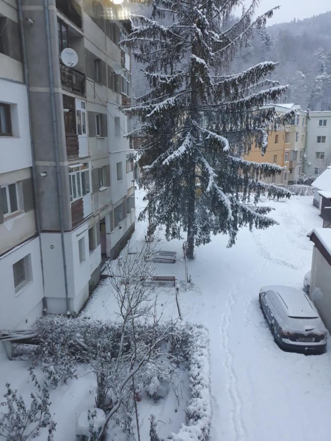 Apartament Aurora Slanic Moldova Ngoại thất bức ảnh